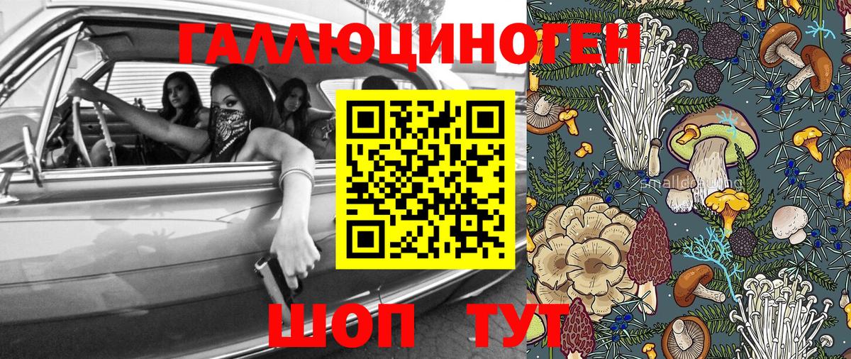 Псилоцибиновые грибы Psilocybine cubensis  Вход с VPN  Всеволожск 